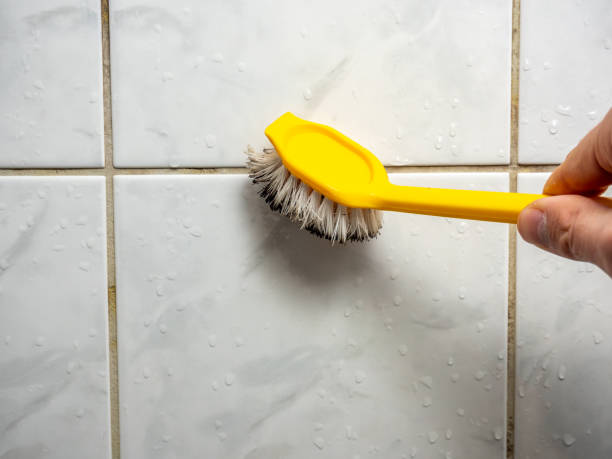 Best Same-Day Mold Removal  in Wytheville, VA