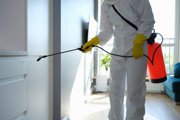Best Affordable Mold Removal  in Wytheville, VA