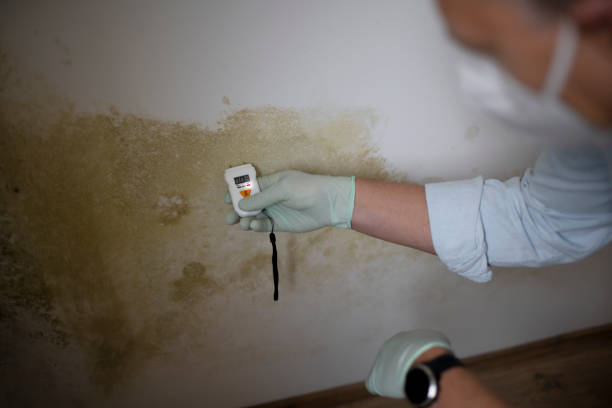 Best Crawl Space Mold Removal  in Wytheville, VA