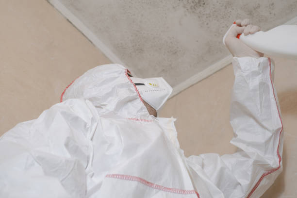Best Professional Mold Removal  in Wytheville, VA